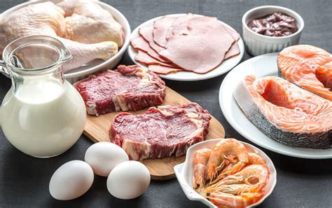 Protein Kaynakları ve Egzersiz: Kas Gelişimi İçin Beslenme Önerileri