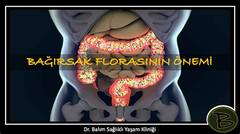 Bağırsak Florasını Dengelemenin Yolları