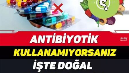Evde Doğal Antibiyotik Etkisi Yaratan Besinler