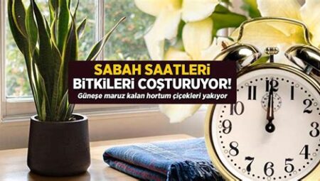 Sabah Güneşe Maruz Kalmadan Önce Ne Yapmalı?