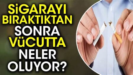 Sigarayı Bıraktıktan Sonra Vücutta Neler Olur?