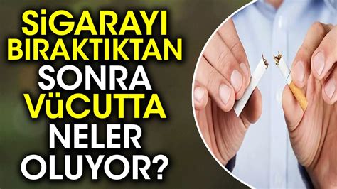 Sigarayı Bıraktıktan Sonra Vücutta Neler Olur?